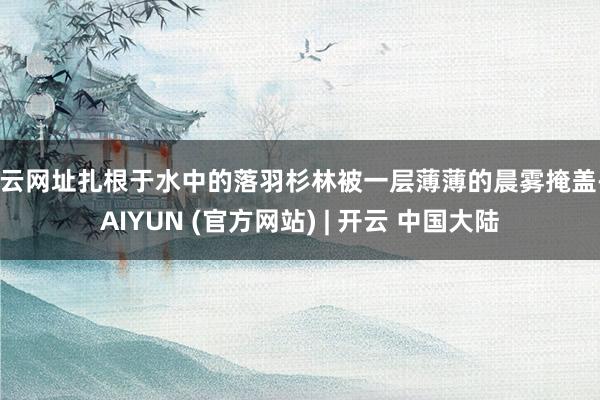 开云网址扎根于水中的落羽杉林被一层薄薄的晨雾掩盖-KAIYUN (官方网站) | 开云 中国大陆