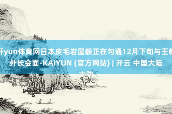 开yun体育网日本皮毛岩屋毅正在勾通12月下旬与王毅外长会面-KAIYUN (官方网站) | 开云 中国大陆