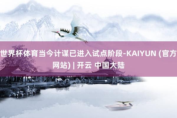 世界杯体育当今计谋已进入试点阶段-KAIYUN (官方网站) | 开云 中国大陆