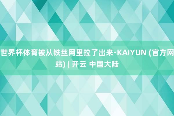世界杯体育被从铁丝网里拉了出来-KAIYUN (官方网站) | 开云 中国大陆