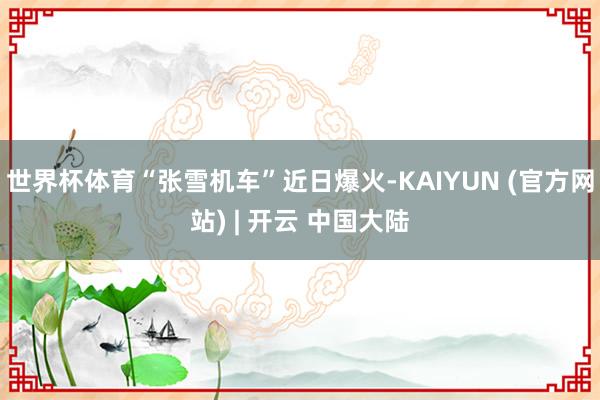 世界杯体育“张雪机车”近日爆火-KAIYUN (官方网站) | 开云 中国大陆