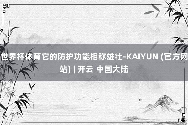 世界杯体育它的防护功能相称雄壮-KAIYUN (官方网站) | 开云 中国大陆