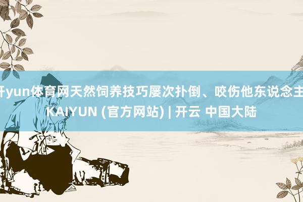 开yun体育网天然饲养技巧屡次扑倒、咬伤他东说念主-KAIYUN (官方网站) | 开云 中国大陆